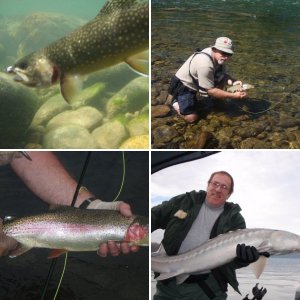 Prof's Fish