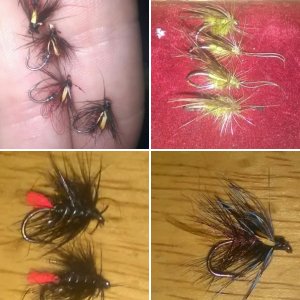 #fly#tying#trout