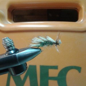 Trout dries