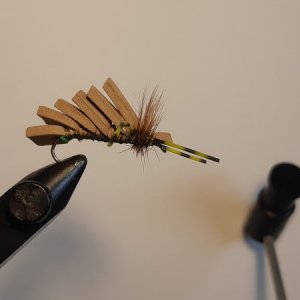 Foam Mikaluk.jpg
