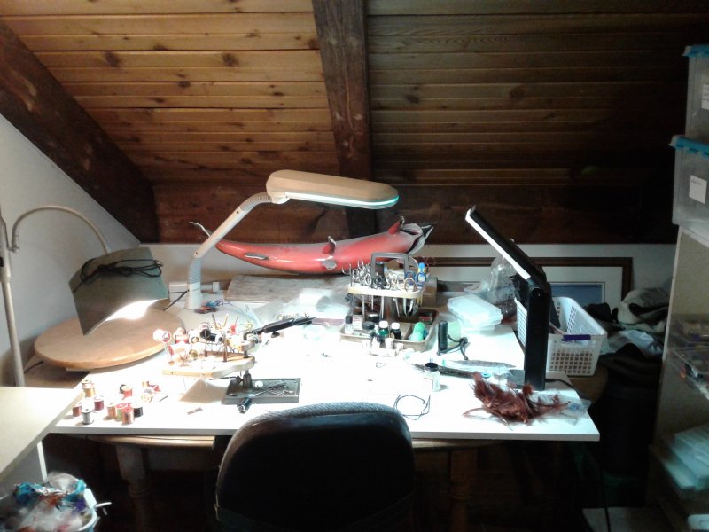 Desk area